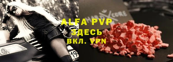 гидра Бородино