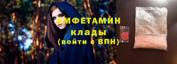 гидра Бородино