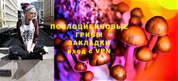2c-b Бронницы