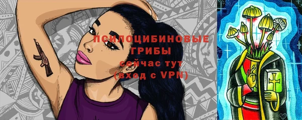 2c-b Бронницы