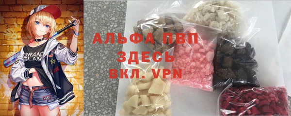 гидра Бородино
