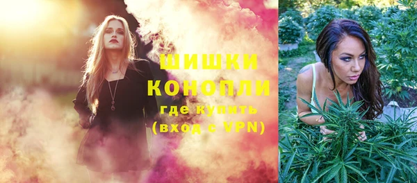 гидра Бородино