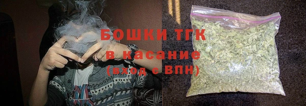 гидра Бородино