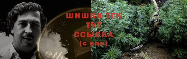 гидра Бородино