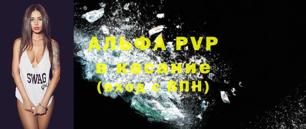 гидра Бородино